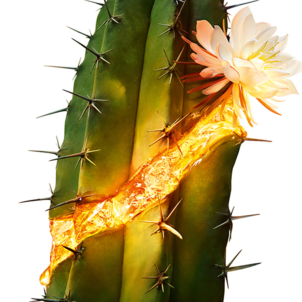 悦享青春修护焕活精华水