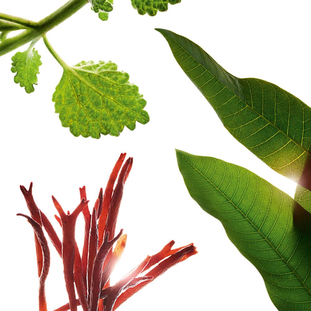 轻透养肤防晒乳