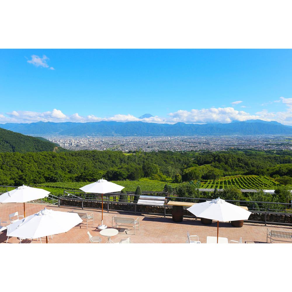 SUNTORY FROM FARM SHIOJIRI MERLOT 2020 (Gift Box) [Not eligible for discounts]