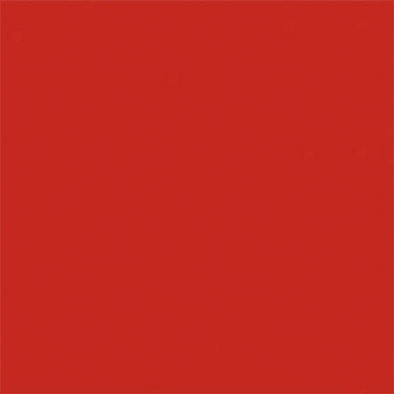 ROUGE PUR COUTURE THE SLIM