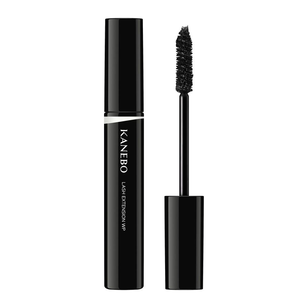 LASH EXTENSION WP MV1