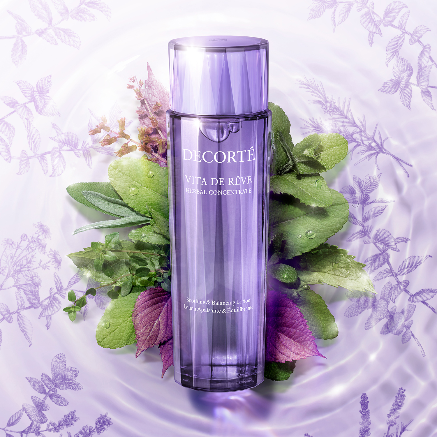 VITA DE RÊVE HERBAL CONCENTRATE