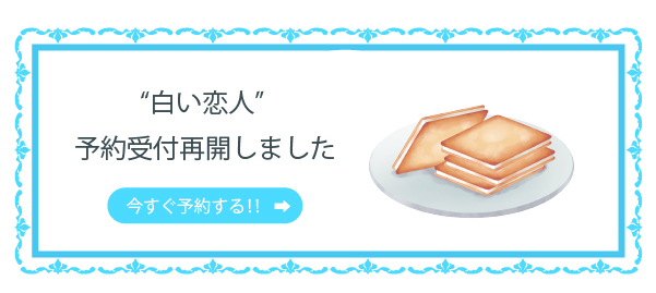 白い恋人 予約受付再開しました