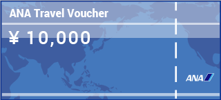 ANA Travel Voucher