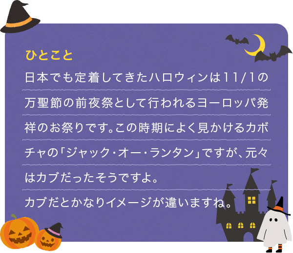 日本でも定着してきたハロウィンは11/1の万聖節の前夜祭として行われるヨーロッパ発祥のお祭りです。この時期によく見かけるカボチャの「ジャック・オー・ランタン」ですが、元々はカブだったそうですよ。カブだとかなりイメージが違いますね。