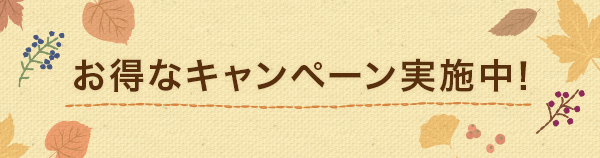 お得なキャンペーン実施中!