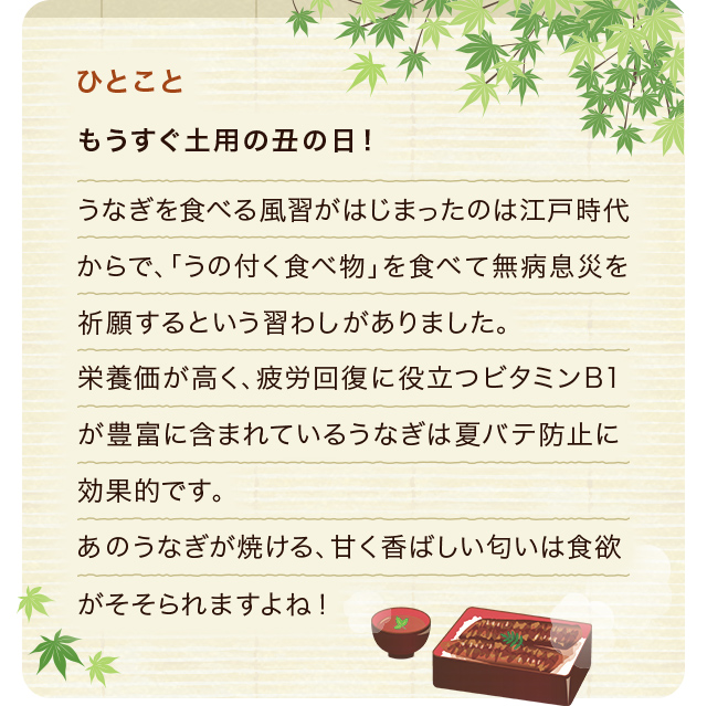 ひとこと もうすぐ土用の丑の日! うなぎを食べる風習がはじまったのは江戸時代からで、「うの付く食べ物」を食べて無病息災を祈願するという習わしがありました。栄養価が高く、疲労回復に役立つビタミンB1が豊富に含まれているうなぎは夏バテ防止に効果的です。あのうなぎが焼ける、甘く香ばしい匂いは食欲がそそられますよね!