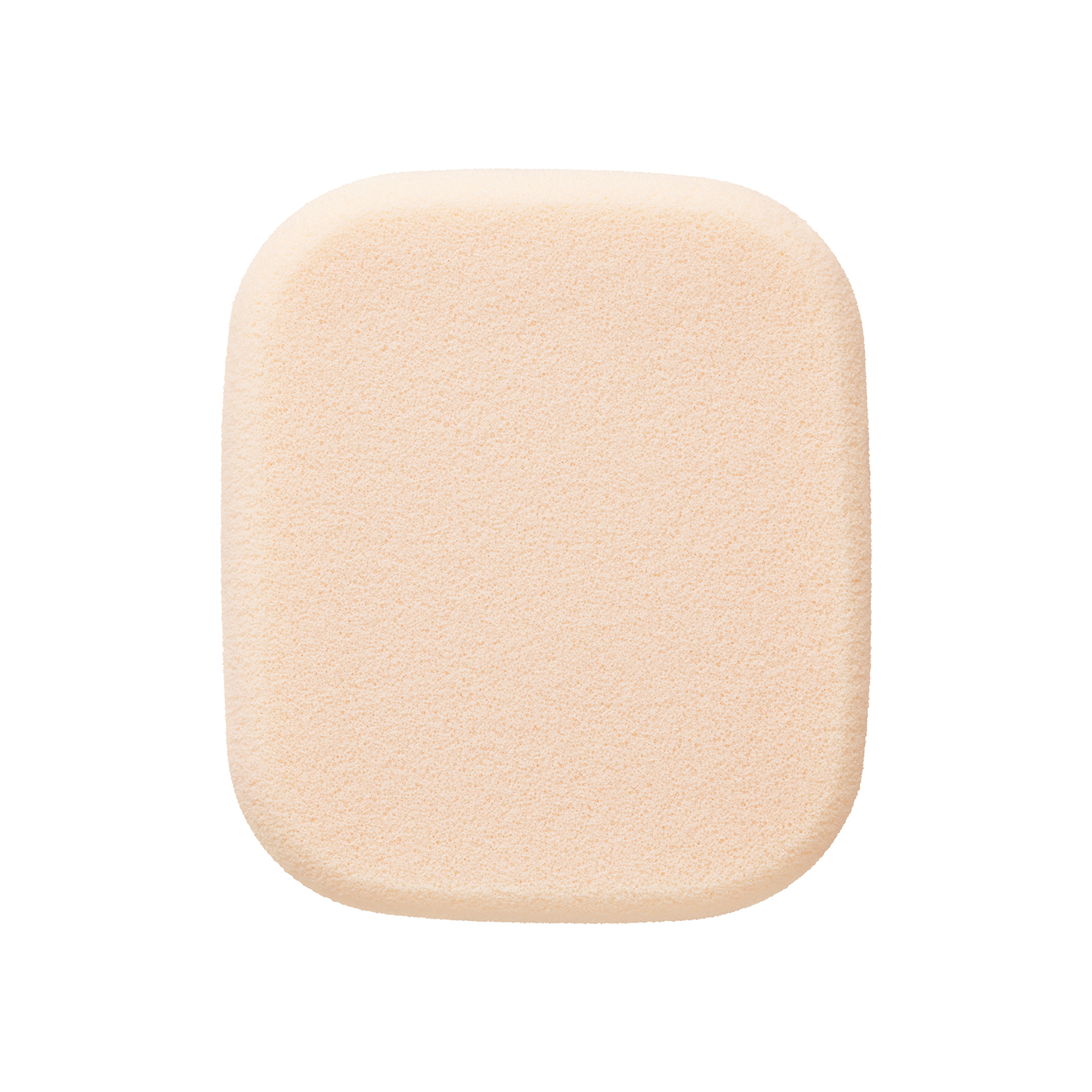 スポンジ (タンプードルエクラⅡ)