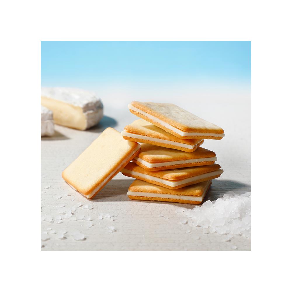 ソルト＆カマンベールクッキー【割引対象外】