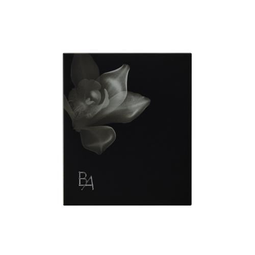 B.A 绿洲保湿蜜粉粉盒