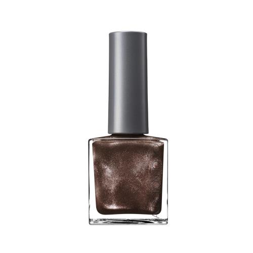 THE MAGNET NAIL POLISH