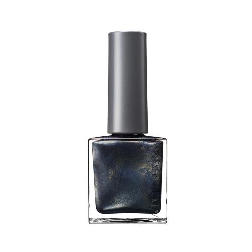 THE MAGNET NAIL POLISH