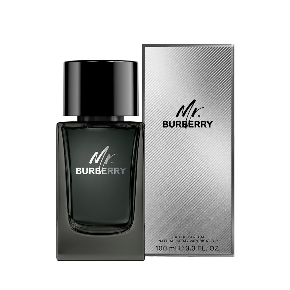 BURBERRY Mr. Burberry Eau de Parfum