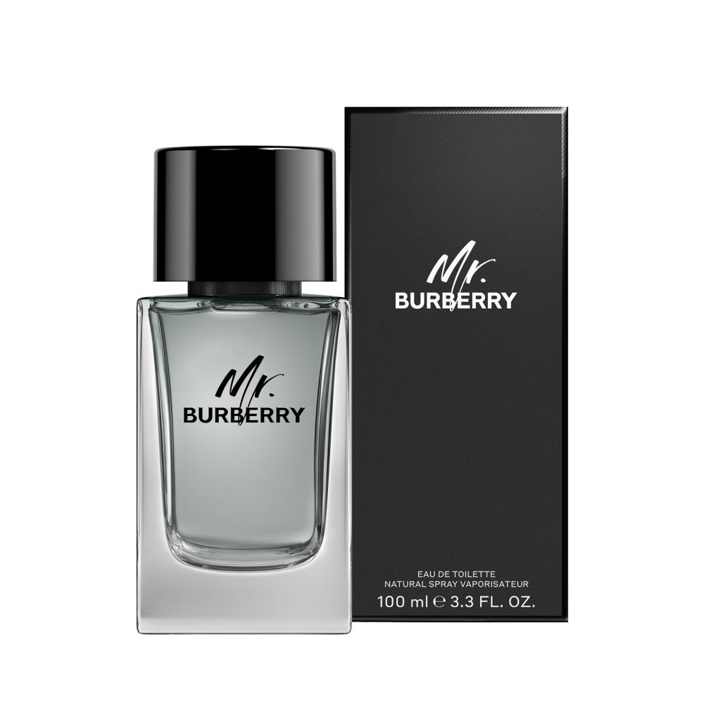 BURBERRY Mr. Burberry Eau de Toilette