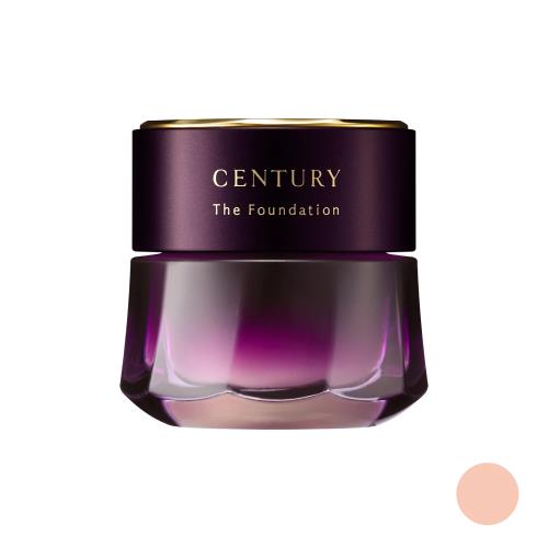 CENTURY THE FOUNDATION a