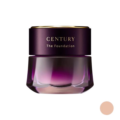 CENTURY THE FOUNDATION a