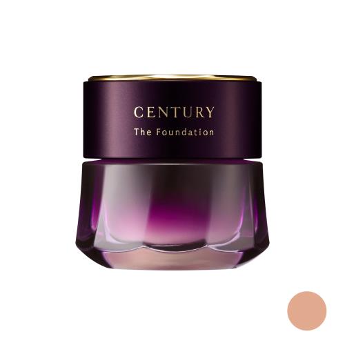 CENTURY THE FOUNDATION a