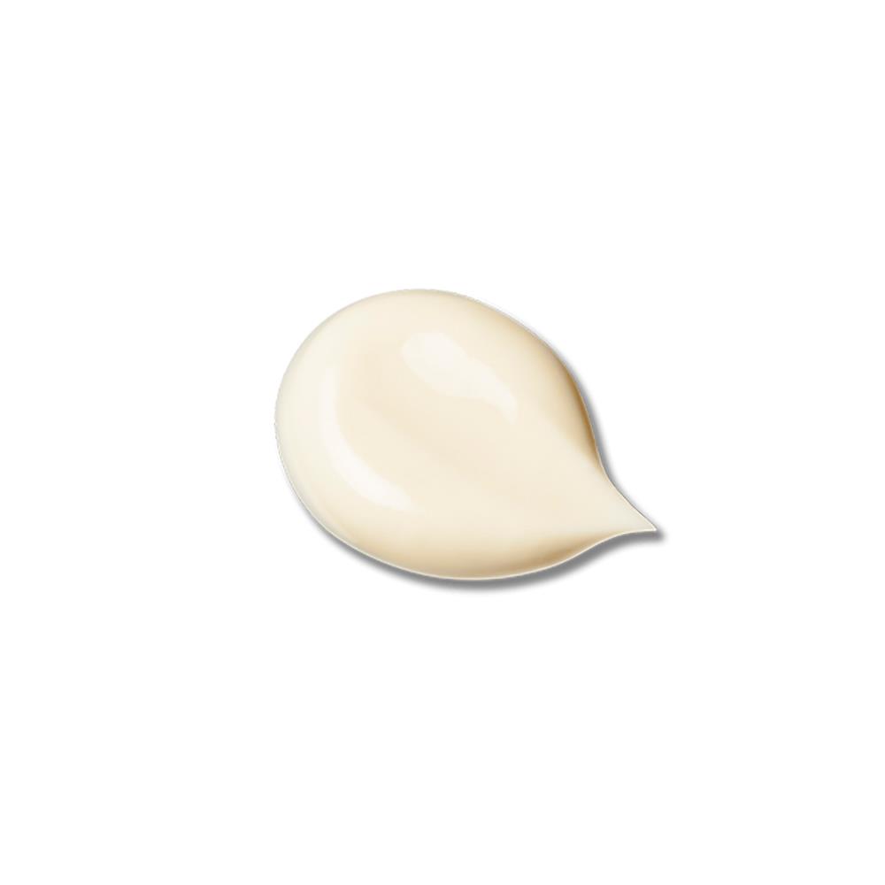 PROTECTIVE FORTIFYING CREAM N