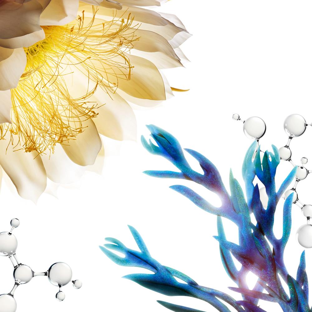 CLARINS Precious Le Serum Bright 