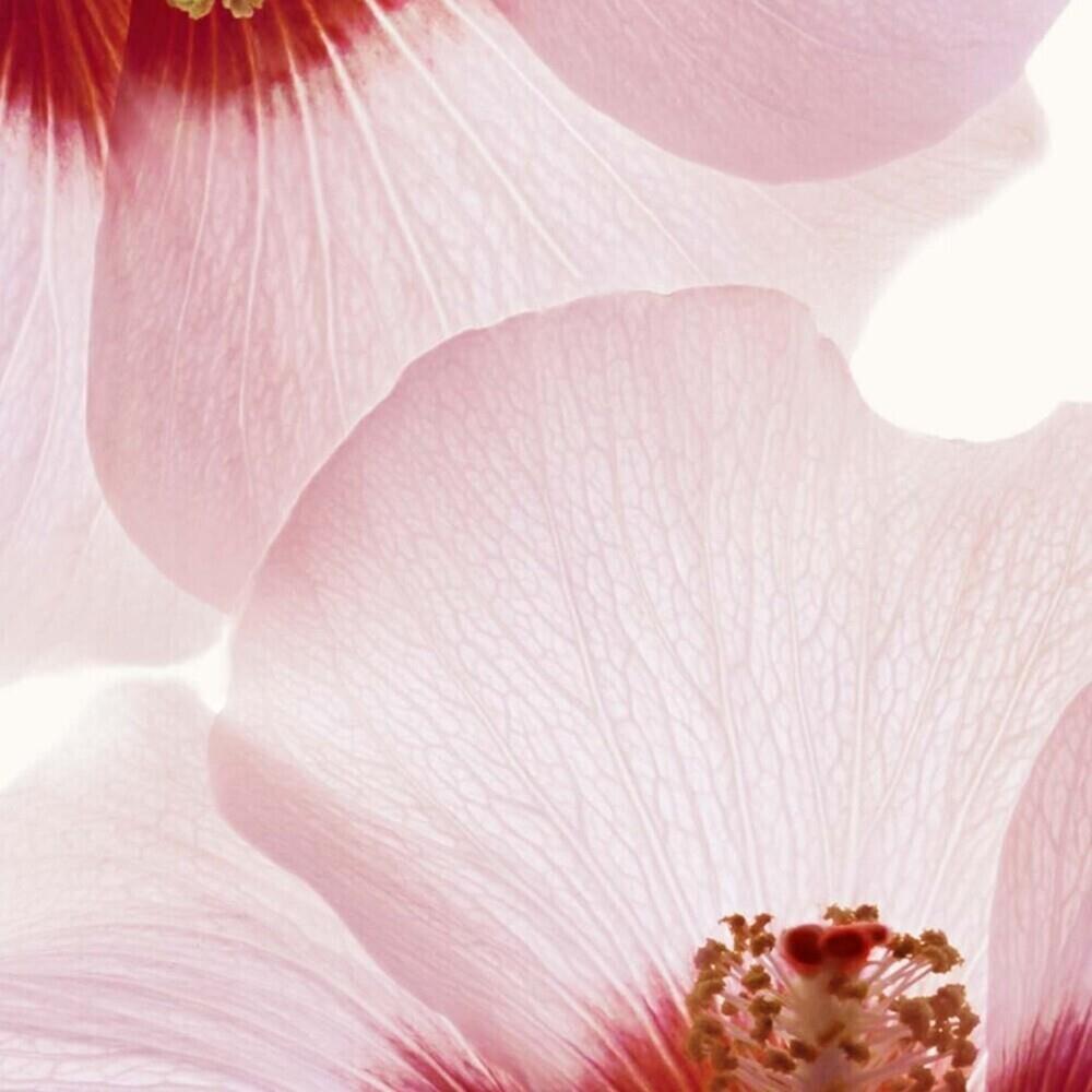 Renew-Plus Body Serum