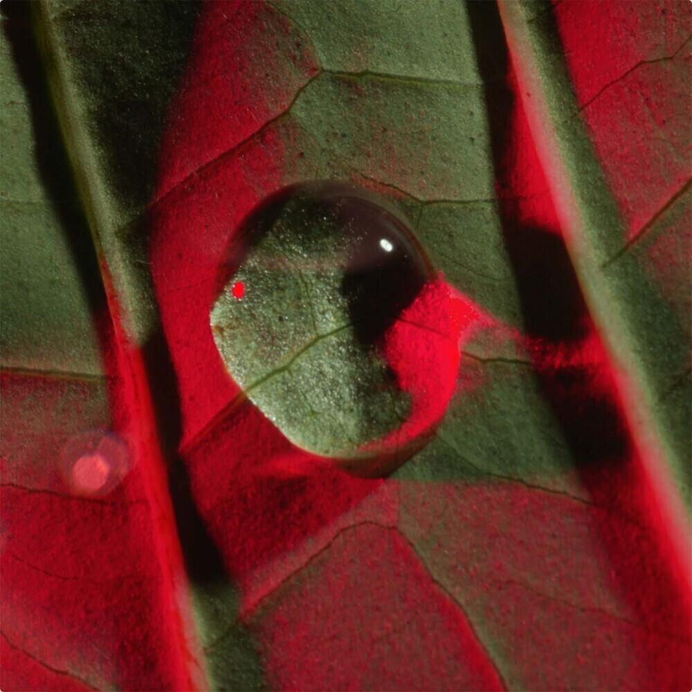 トータル アイ インテンス N