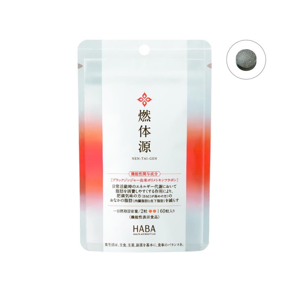 燃体源