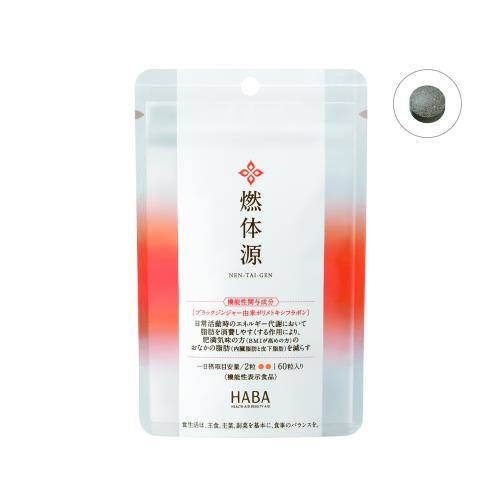 燃体源