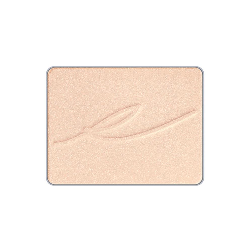 シルクフィット フェイスパウダー (レフィル)