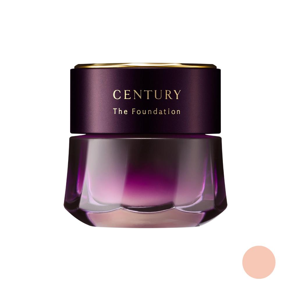 CENTURY THE FOUNDATION a