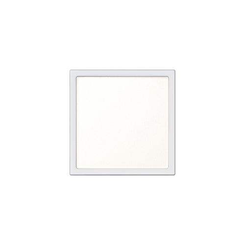 THE SINGLE EYESHADOW NAKED SHEER (Refill)